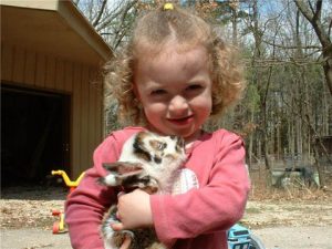 Nigerian Dwarf Dairy Goats