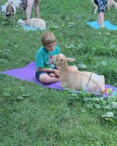 Outdoor Goat Therapy May 9th *Mothers Day!* 11am - 12pm
